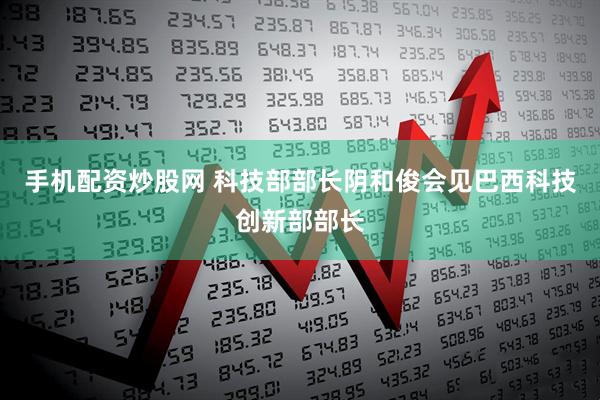 手机配资炒股网 科技部部长阴和俊会见巴西科技创新部部长