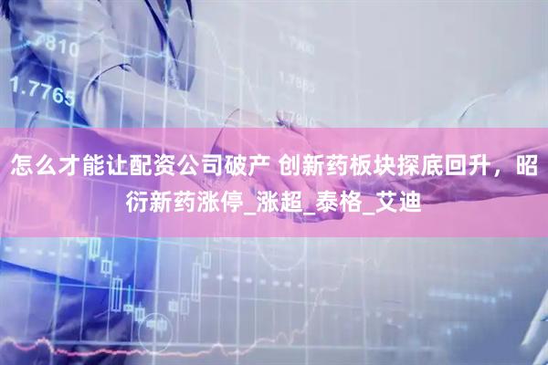 怎么才能让配资公司破产 创新药板块探底回升，昭衍新药涨停_涨超_泰格_艾迪