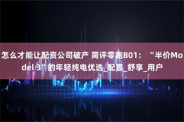 怎么才能让配资公司破产 简评零跑B01： “半价Model 3”的年轻纯电优选_配置_舒享_用户