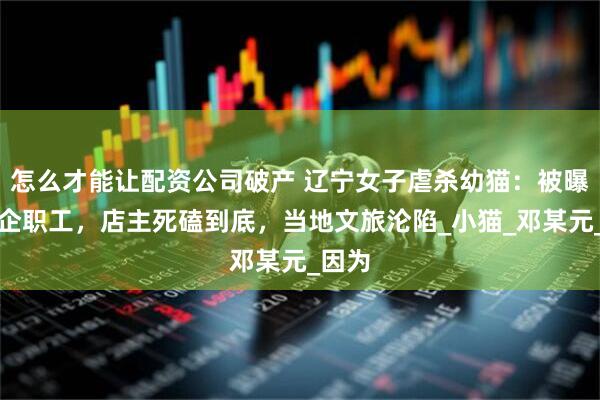 怎么才能让配资公司破产 辽宁女子虐杀幼猫：被曝是央企职工，店主死磕到底，当地文旅沦陷_小猫_邓某元_因为