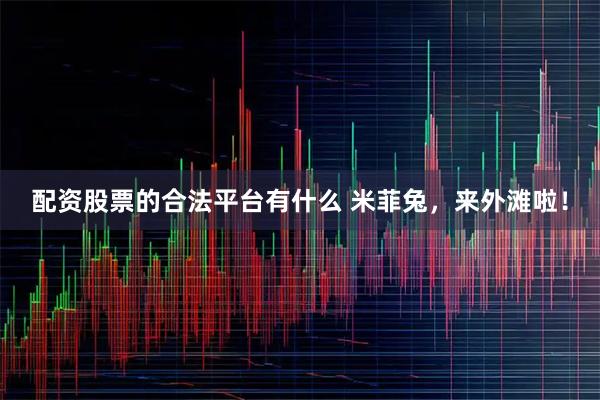 配资股票的合法平台有什么 米菲兔，来外滩啦！