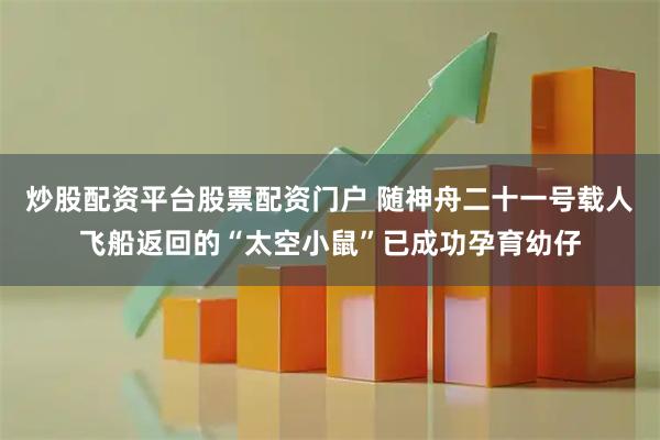 炒股配资平台股票配资门户 随神舟二十一号载人飞船返回的“太空小鼠”已成功孕育幼仔